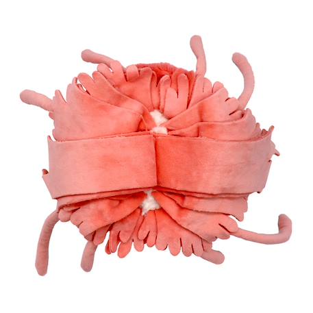 Peluche méduse maman et son bébé Bleu+Rose 9 - vertbaudet enfant 