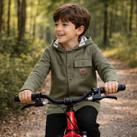 Veste sweat à capuche boutonnée garçon Bleu marine+Ecru+Vert kaki 12 - vertbaudet enfant 