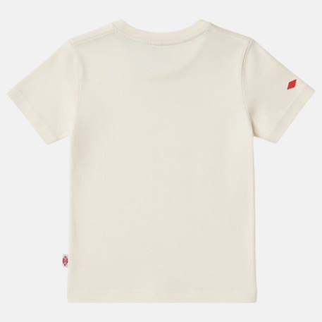 T-shirt manches courtes imprimé, col rond Bleu ciel+Bleu marine+Écru+Gris anthracite 14 - vertbaudet enfant 