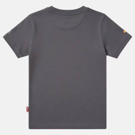 T-shirt manches courtes garçon avec imprimé Bleu ciel+Bleu marine+Écru+Gris anthracite 19 - vertbaudet enfant 