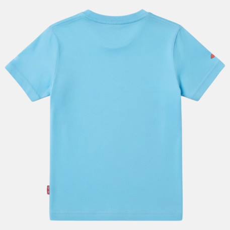 T-shirt manches courtes garçon avec imprimé Bleu ciel+Bleu marine+Écru+Gris anthracite 4 - vertbaudet enfant 