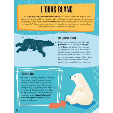 Livre et Puzzle La planète en danger - les glaces Bleu 6 - vertbaudet enfant 