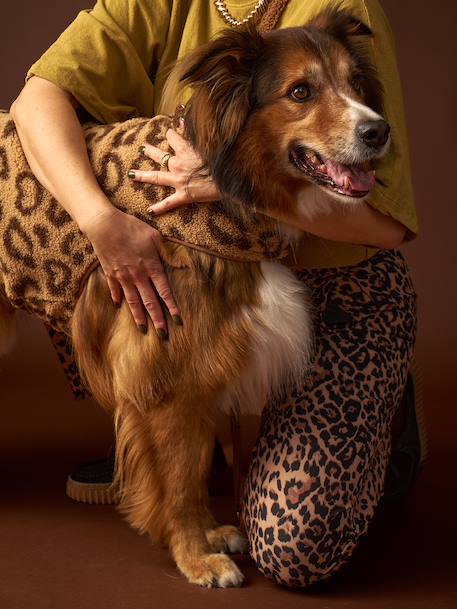 Manteau sherpa pour chien cappuccino 3 - vertbaudet enfant 