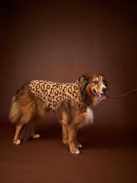 Manteau sherpa pour chien cappuccino 2 - vertbaudet enfant 