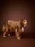Manteau sherpa pour chien cappuccino 2 - vertbaudet enfant 