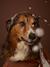 Cape de bain chien coton cappuccino 4 - vertbaudet enfant 