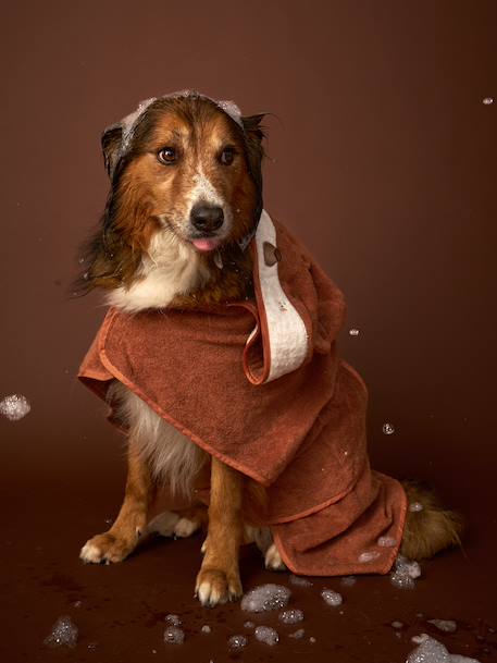 Cape de bain chien coton cappuccino 1 - vertbaudet enfant 