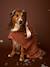 Cape de bain chien coton cappuccino 1 - vertbaudet enfant 