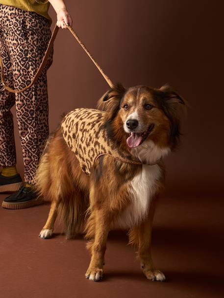 Manteau sherpa pour chien cappuccino 1 - vertbaudet enfant 