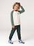 Pantalon de jogging garçon bleu jean+bordeaux+vert sapin 11 - vertbaudet enfant 