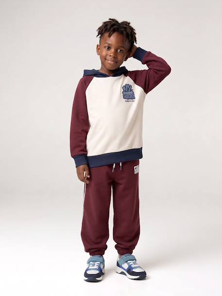 Sweat à capuche garçon bordeaux 7 - vertbaudet enfant 