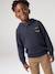 Pull à capuche garçon bleu chiné 1 - vertbaudet enfant 