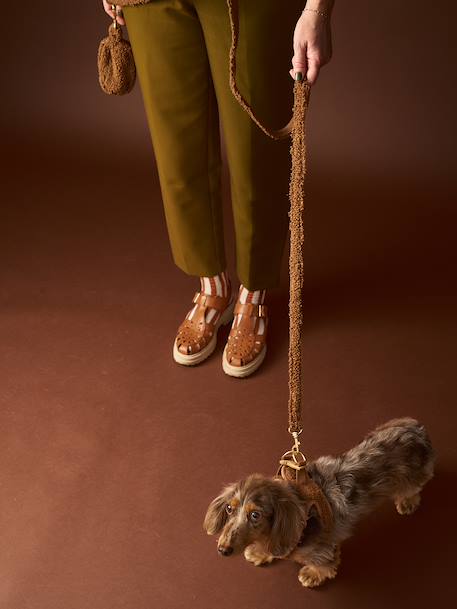 Set promenade pour chien : harnais + laisse + collier café+chocolat 13 - vertbaudet enfant 