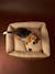 Panier matelassé en velours pour chien, disponible en 3 tailles camel+marron imprimé 13 - vertbaudet enfant 