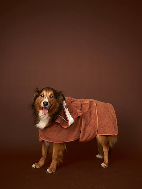 Cape de bain chien coton cappuccino 3 - vertbaudet enfant 