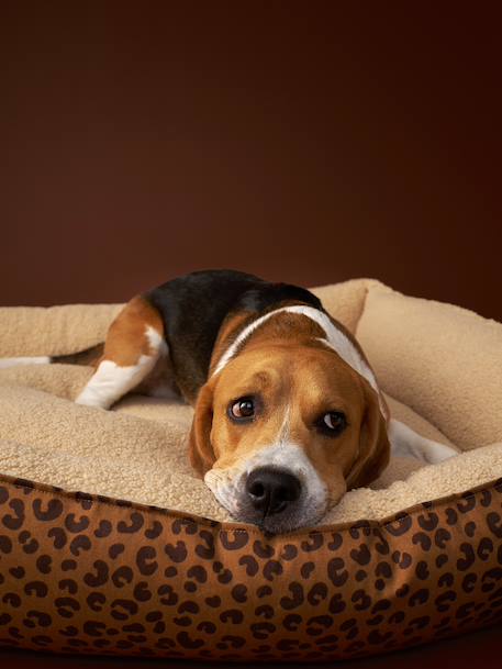 Panier matelassé en velours pour chien, disponible en 3 tailles camel+marron imprimé 12 - vertbaudet enfant 