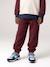 Pantalon de jogging garçon bordeaux+gris ardoise 1 - vertbaudet enfant 