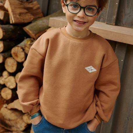 Sweat en molleton jules Marron 6 - vertbaudet enfant 