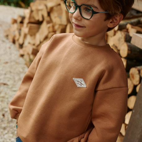 Sweat en molleton jules Marron 5 - vertbaudet enfant 