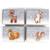 Puzzle Marron, blanc 1 - vertbaudet enfant 