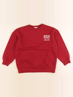 Seconde main-Garçon-Pull, gilet, sweat-Sweat - 10 ans