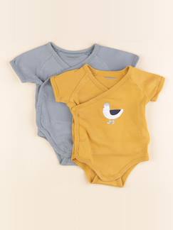 Lot de 2 bodies en coton - 6 mois  - vertbaudet enfant