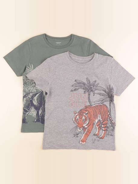 Lot de 2 tee-shirts - 10 ans Gris, vert 1 - vertbaudet enfant 