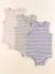 Lot de 3 bodies en coton - 36 mois Beige, bleu, vert 1 - vertbaudet enfant 