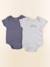 Lot de 2 bodies en coton - 24 mois Bleu 1 - vertbaudet enfant 