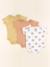 Lot de 3 bodies en coton - 6 mois Gris, marron 1 - vertbaudet enfant 