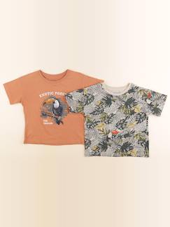 Seconde main-Lot de 2 tee-shirts - 4 ans