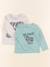 Lot de 2 tee-shirts - 2 ans Gris, vert 1 - vertbaudet enfant 