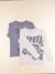 Lot de 2 tee-shirts - 10 ans Bleu, gris 1 - vertbaudet enfant 