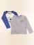 Lot de 2 tee-shirts - 10 ans Bleu, gris 1 - vertbaudet enfant 