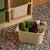 Sora - children's storage unit with 6 storage bins Moutarde+Orange+Vert olive 18 - vertbaudet enfant 