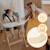 Chaise haute évolutive en bois 3en1 floris jusqu’à 40 kg avec harnais 5 points Beige natural+White natural 12 - vertbaudet enfant 