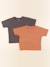 Lot de 2 tee-shirts - 2 ans Gris, marron 1 - vertbaudet enfant 