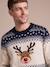 Pull de Noël Adulte Mixte Capsule Famille marine 4 - vertbaudet enfant 