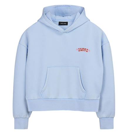 Sweat à capuche garçon hoody Bleu 1 - vertbaudet enfant 
