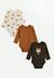 Lot de 3 bodies bébé manches longues ginkgo Vert 1 - vertbaudet enfant 