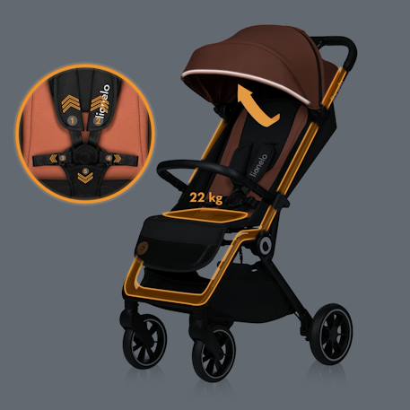 Poussette canne compacte cloe légère et pliable jusqu’à 22 kg Brown rust 2 - vertbaudet enfant 