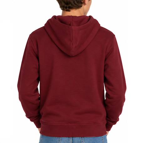 Sweat garçon zippé à capuche scz Bleu+Bordeaux 6 - vertbaudet enfant 