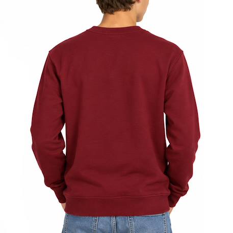 Sweat garçon scr Bordeaux+Noir 3 - vertbaudet enfant 