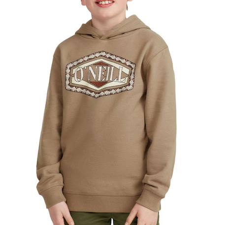 Sweat à capuche garçon avec imprimé poitrine Marron+Noir 2 - vertbaudet enfant 