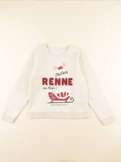Seconde main-Garçon-Pull, gilet, sweat-Sweat - 10 ans