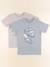 Lot de 2 tee-shirts - 10 ans Bleu, gris 1 - vertbaudet enfant 