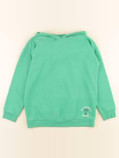 Seconde main-Garçon-Pull, gilet, sweat-Sweat imprimé au dos - 12 ans