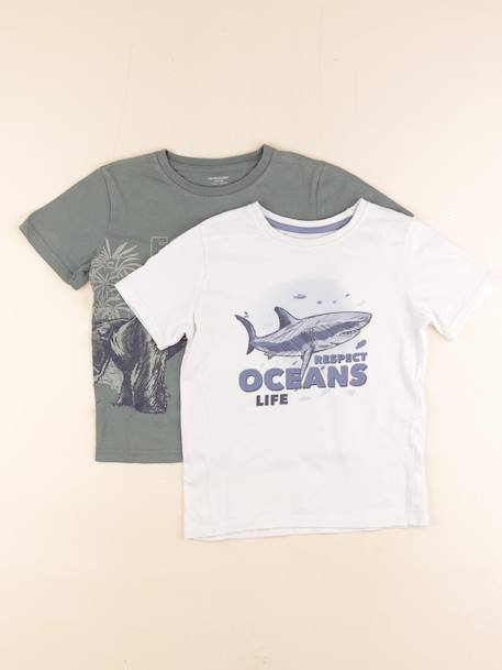 Lot de 2 tee-shirts - 8 ans Blanc, vert 1 - vertbaudet enfant 