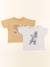 Lot de 2 tee-shirts - 3 ans Gris, jaune 1 - vertbaudet enfant 