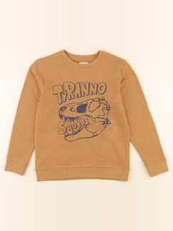 Seconde main-Garçon-Pull, gilet, sweat-Sweat - 10 ans